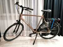 Gazelle Chamonix C7  COMFORT