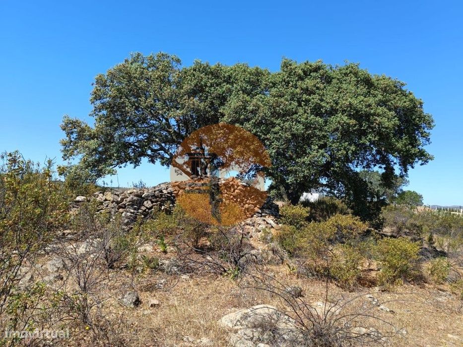 Terreno Plano Com 3.280 M2 - Próximo Da Choça Queimada - Odeleite -...