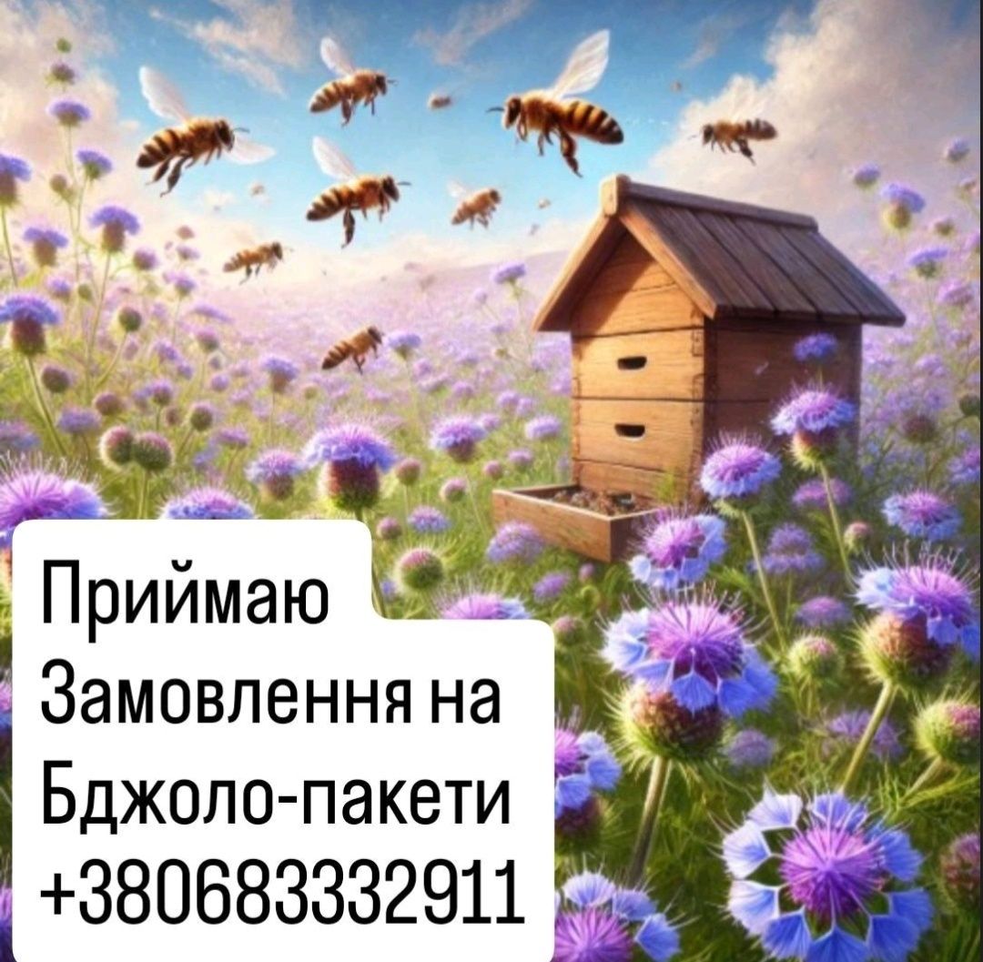Продам Бджолопакети