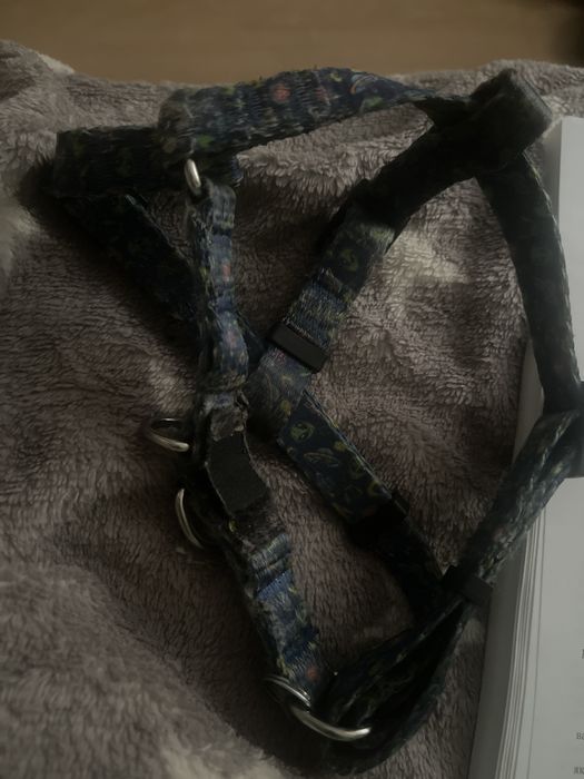 Шлея для невеликої собаки M, кенгурушка, комбінезон зимовий