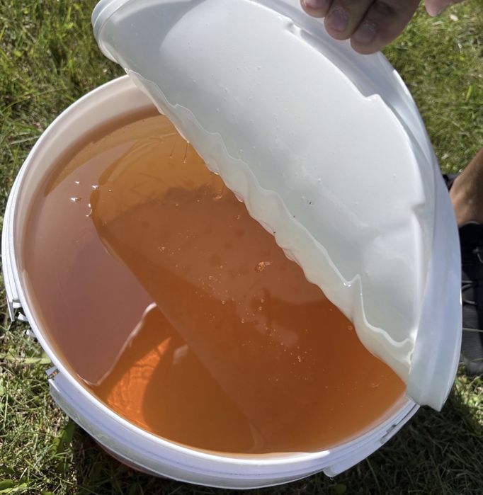 Naturalny miód: akacja, lipa, wielokwiat, leśny i gryka – od 20 zł/kg