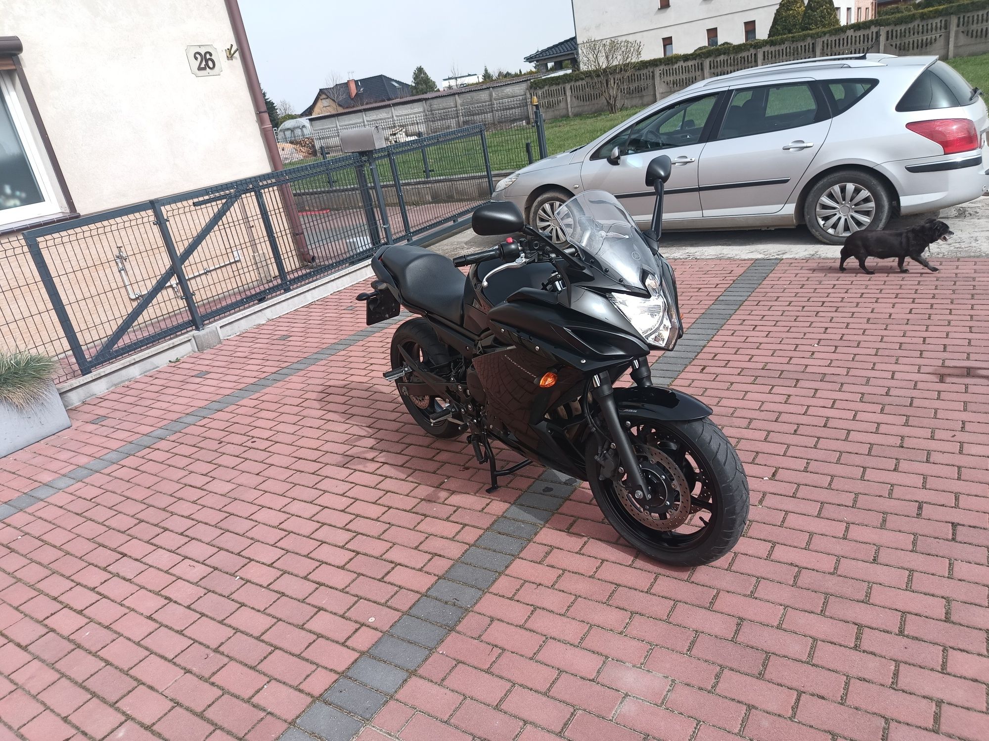 Yamaha xj6 Diverson