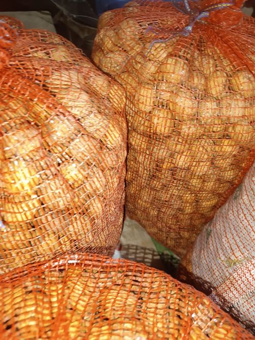 Nozes de boa qualidade