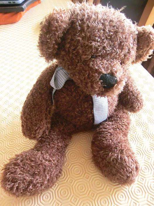peluches novos