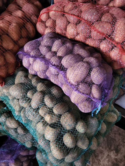 Продам картоплю дуже смачна, ДОСТАВКА. БЕЗ ХІМІКАТІВ бульба картофель
