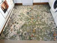 Tapete quadrado 2,00x 2,00
