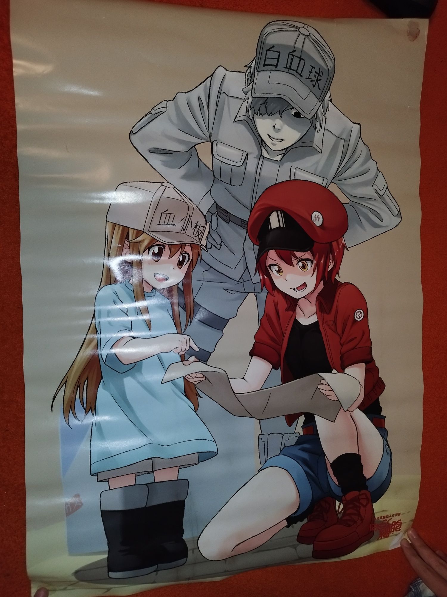 Posters de anime