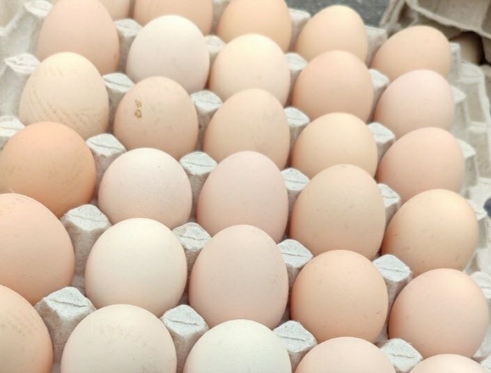 Яйцо куриное цена от количества с0 с1 с2