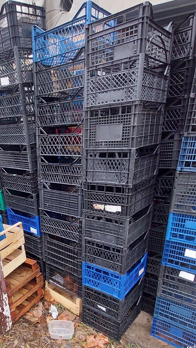 Продам ящики для овощей пластик.