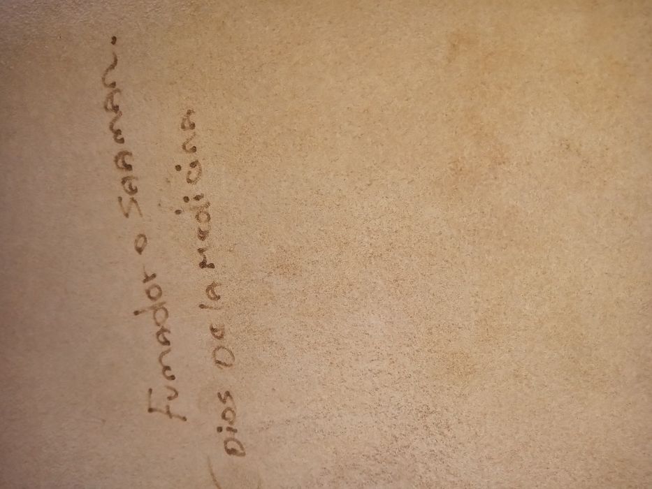 Orginalny kalendarz Majów