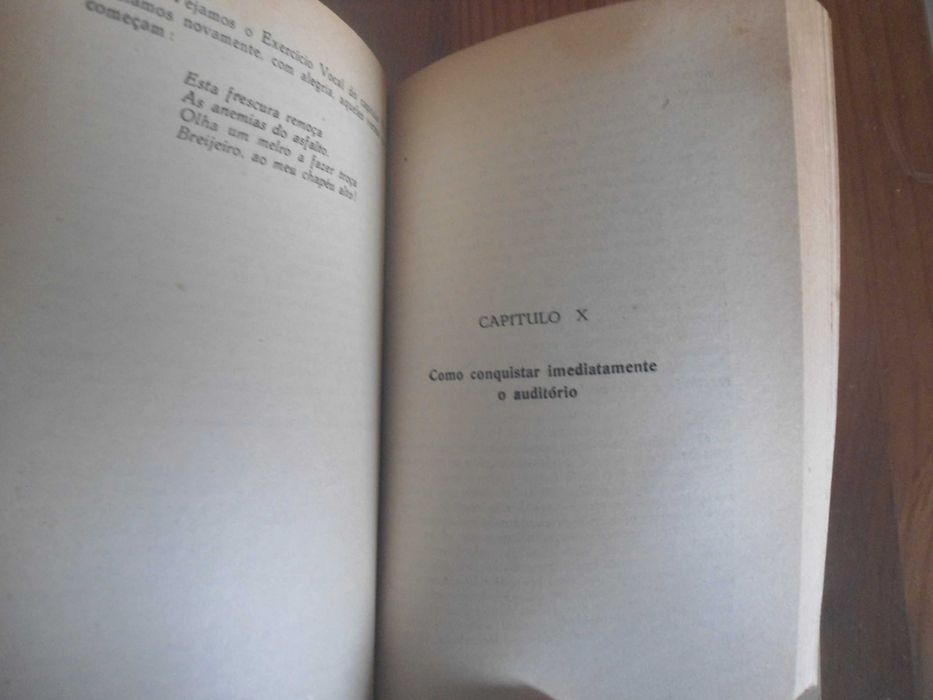 Como Falar Facilmente e interessar pessoas em negócios-Dale carnegie