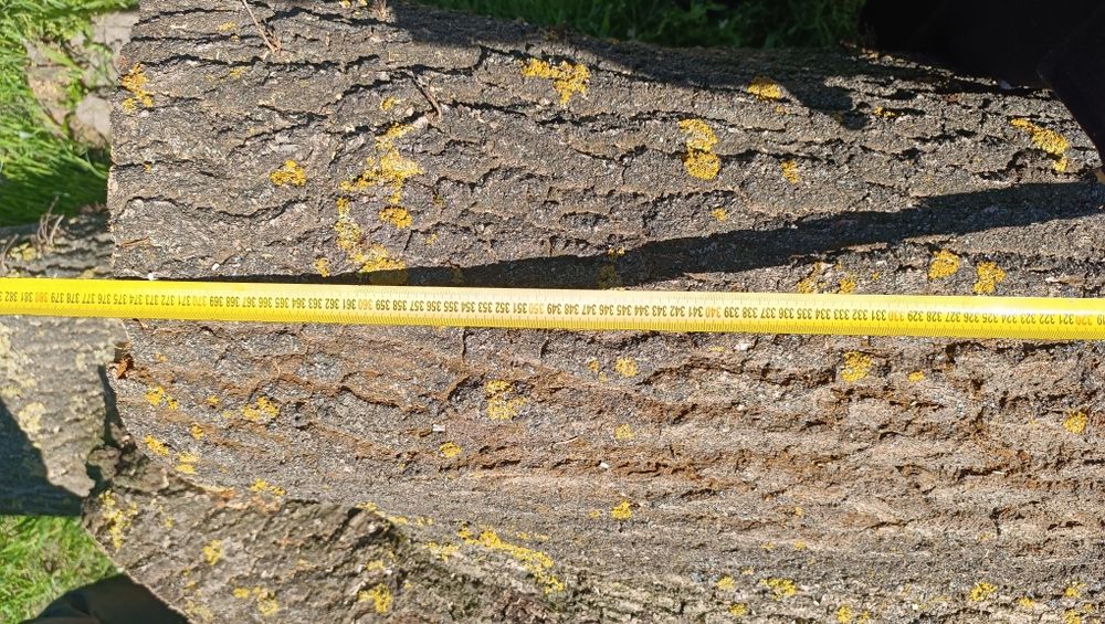 Drewno kominkowe lub dąb do dalszej obróbki