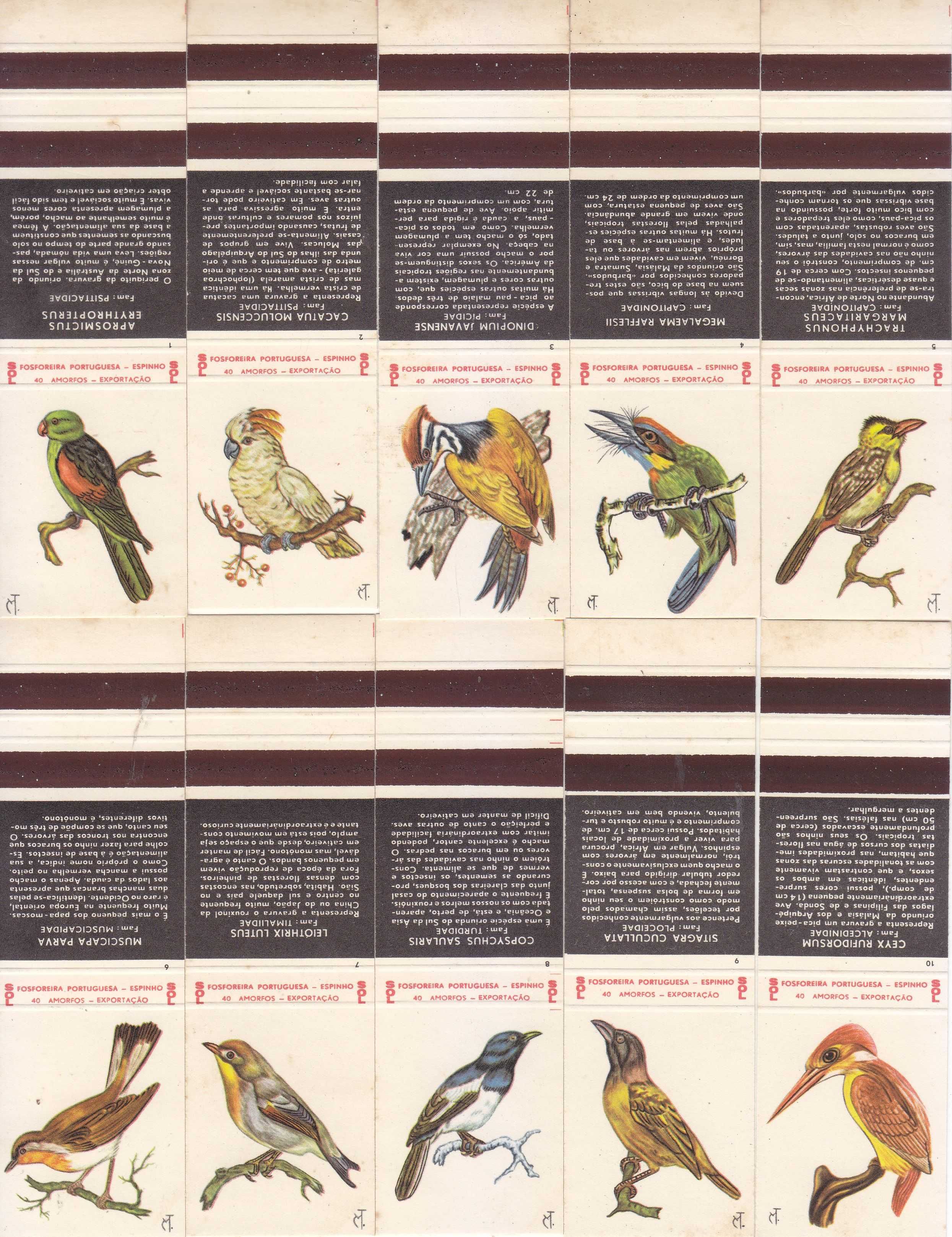 Carteiras Fósforos - Aves (Completa)