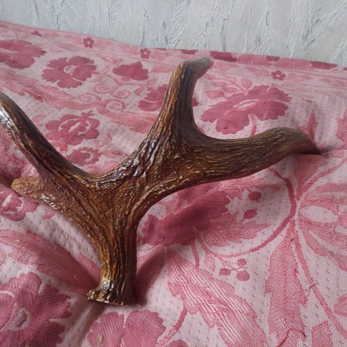 Рога оленя в гарному стані