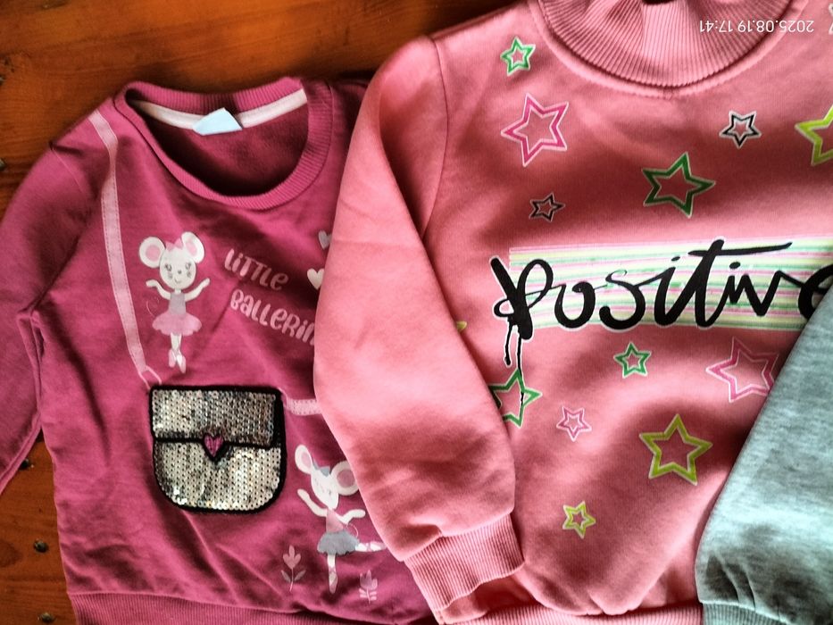 лот теплих речей для дівчинки на 3 роки світшот, светр ціна за все