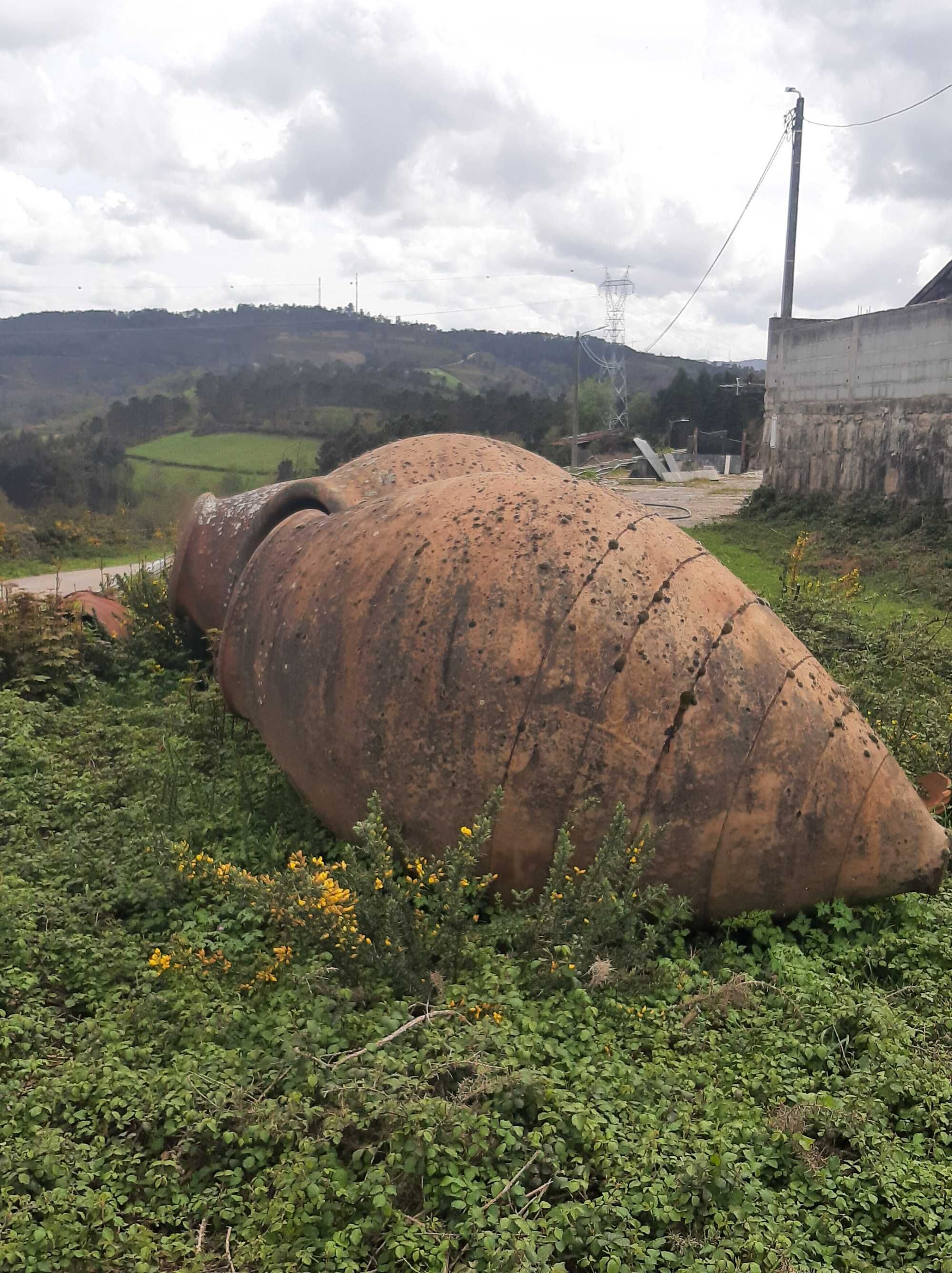 Anforas e talhas de vinho  antigas