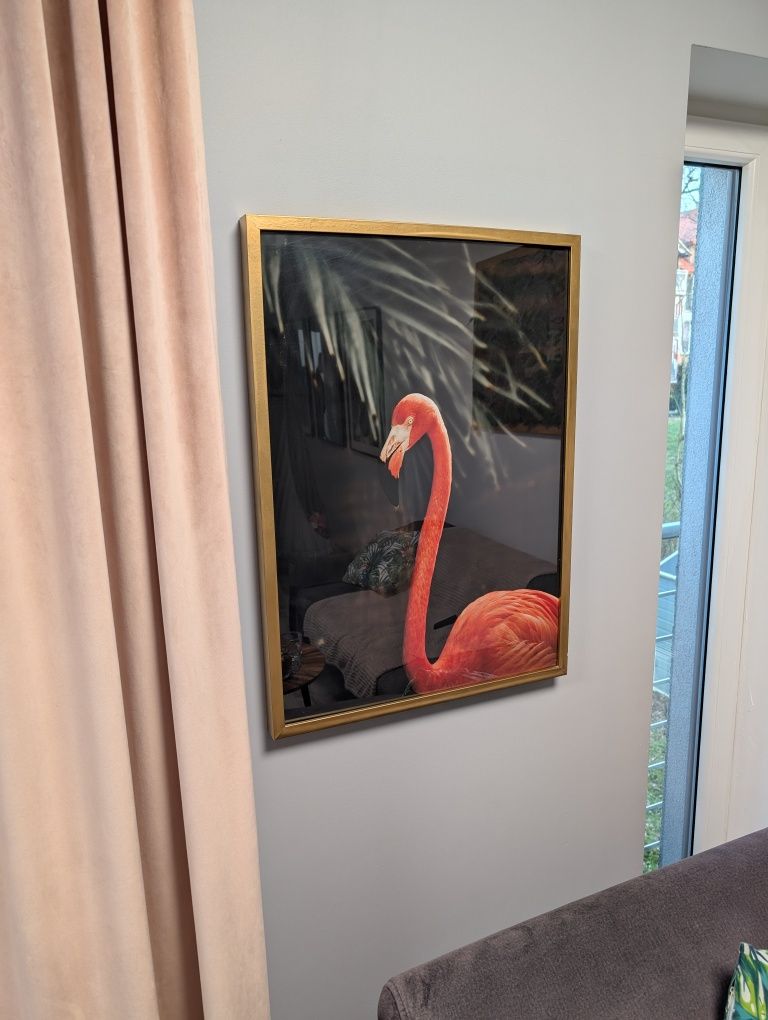 Plakat flaming w złotej ramie