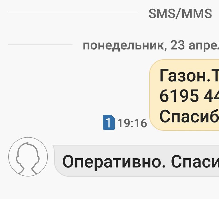 Газон для ЭКОпарковки смесь низкорослых газонных трав / лучший