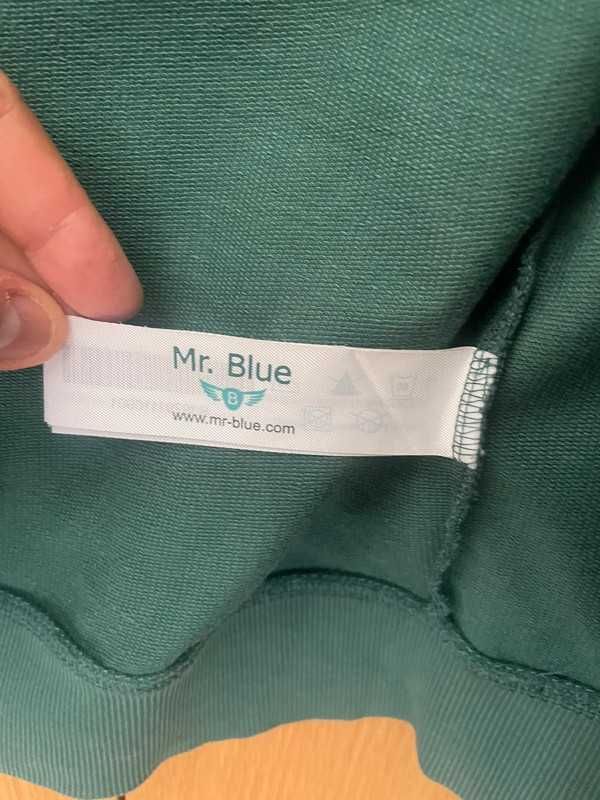 Casaco Hoodie com carapuço Mr Blue Verde