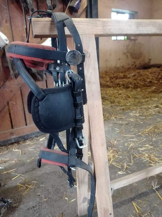 NIŻSZA CENA! Uprząż pony na parę Picasso Biothane