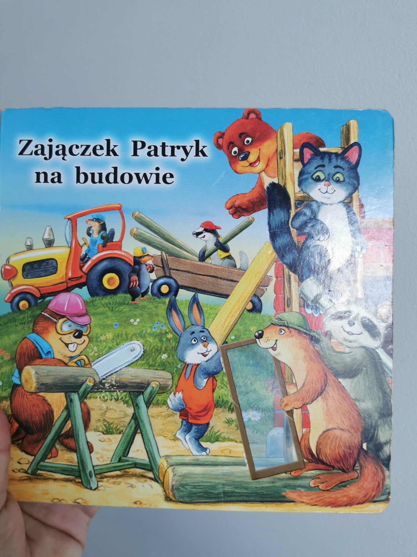 Zajączek Patryk na budowie