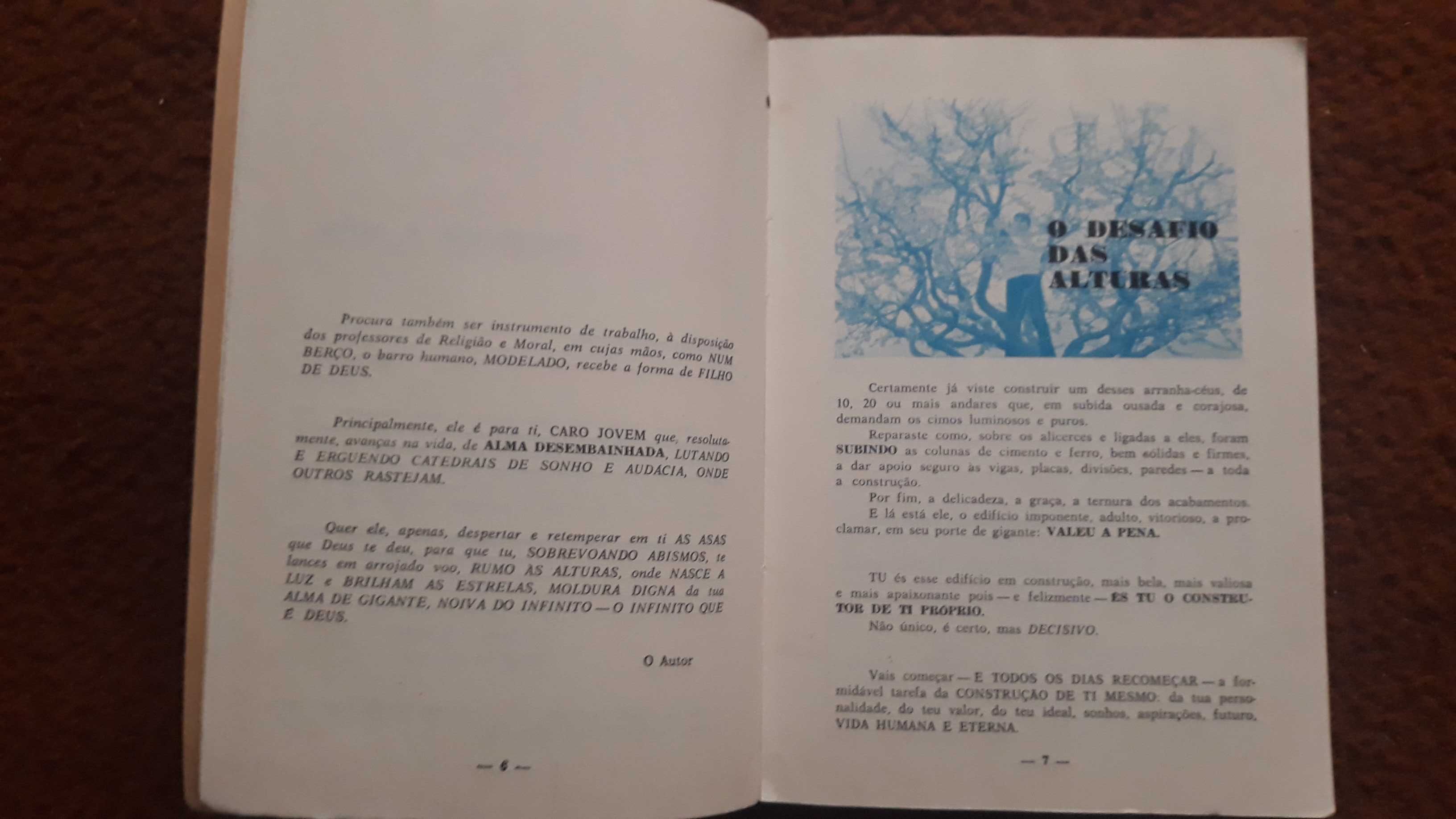 Mário Sardo - Construir a vida - portes incluídos