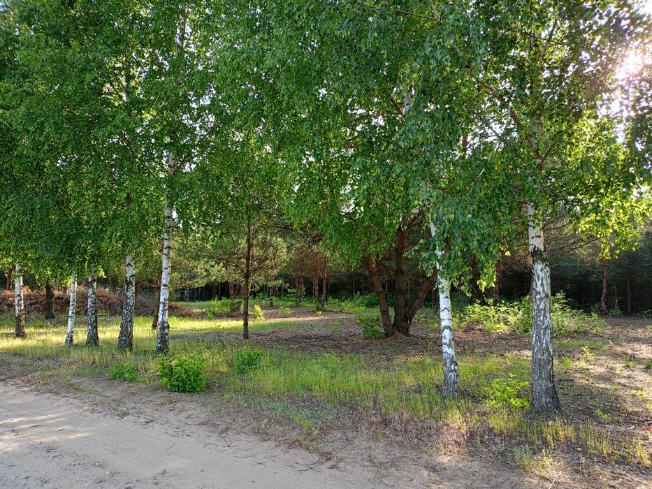 Działka rekreacyjna 1714m2 z MPZP