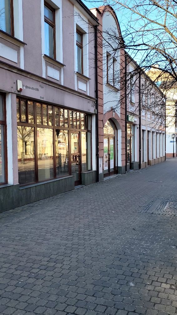 Posiadam lokale parter w centrum miasta 125m 130m 140m 130m +200p 255m
