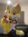 Furry fursuit ryś