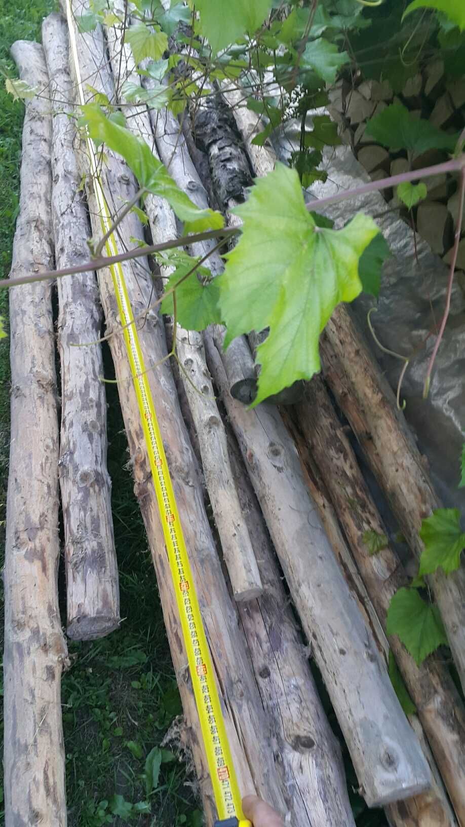 Bele  bale świerkowe okorowane