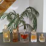 Perfumes de senhora