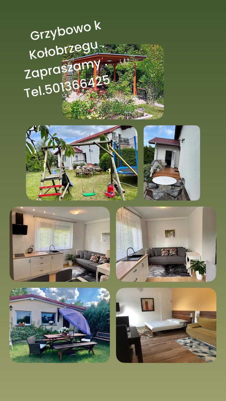 Grzybowo -noclegi i pokoje gościnne, domek letniskowy, studio