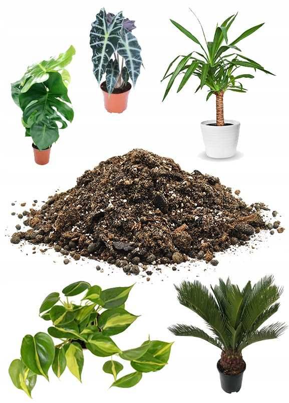 Ziemia Podłoże BIGOS do Kalatea, Monstera, Dracena, Filodendron 10L