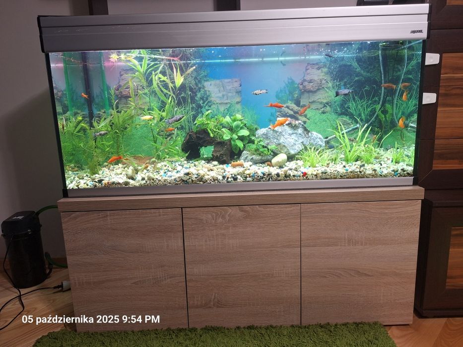 Akwarium AQUAEL 240 l