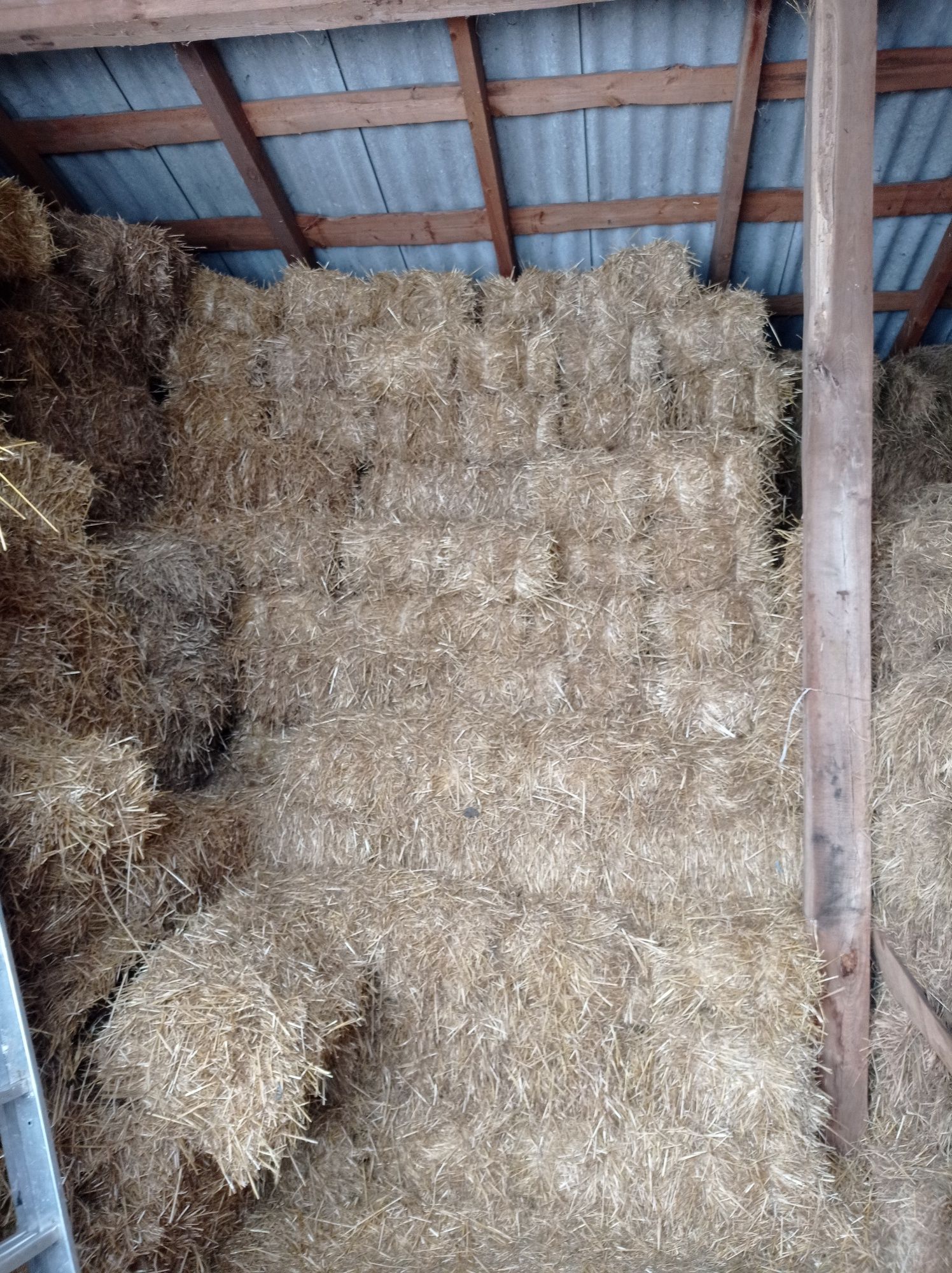 Солома в тюках Продам