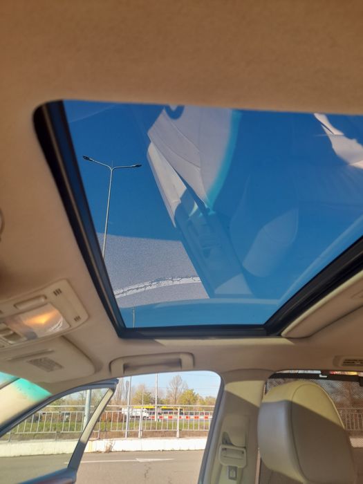 Продам "японського кабана"