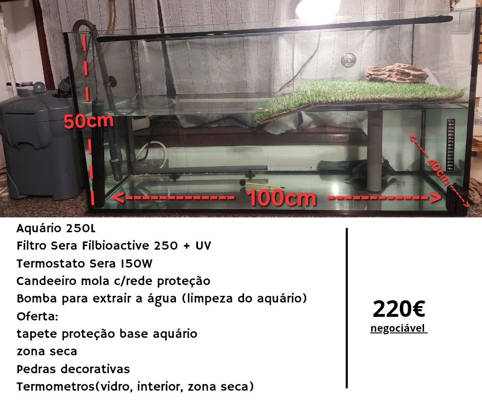 Aquario 250L e acessórios