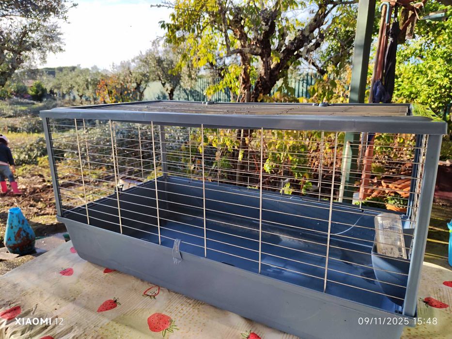 Gaiola grande para porquinhos da Índia ou coelho