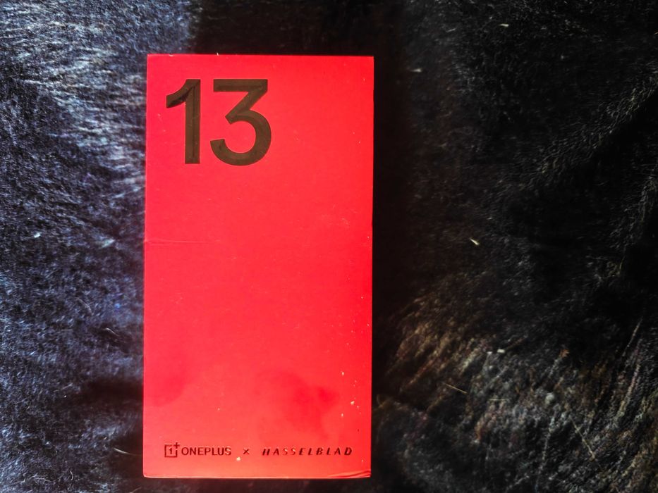 OnePlus 13 5G 12/256