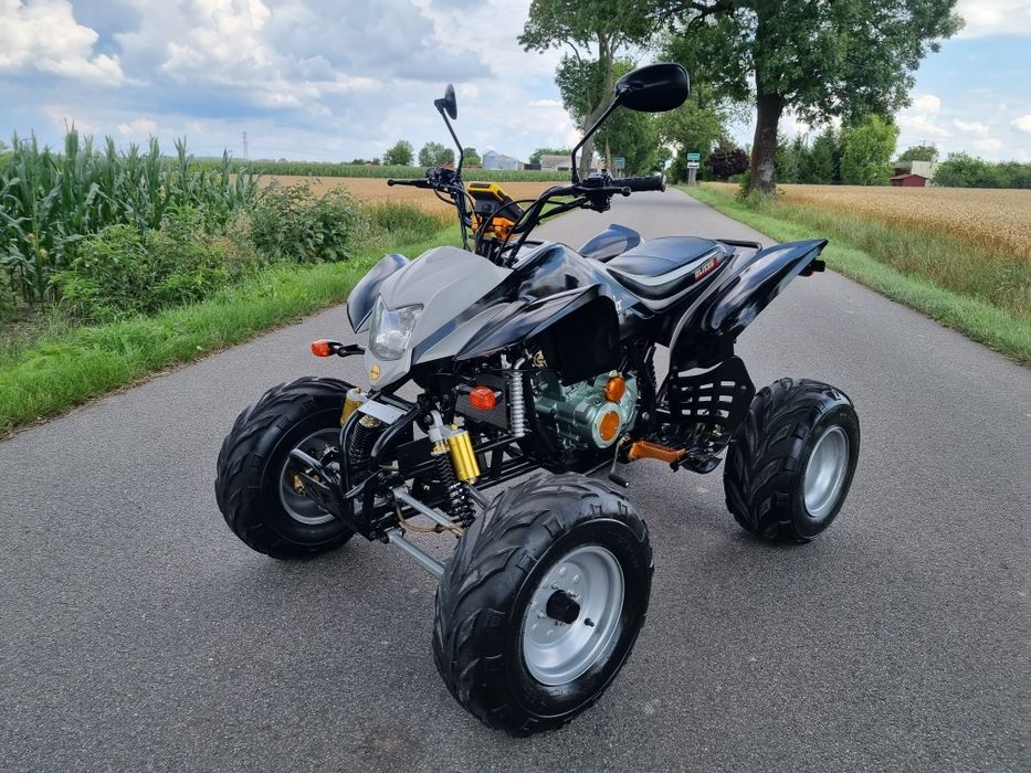 Quad Bashan Blizzer 200/250cc Ciecz JAK NOWY!  Zarejestrowany!