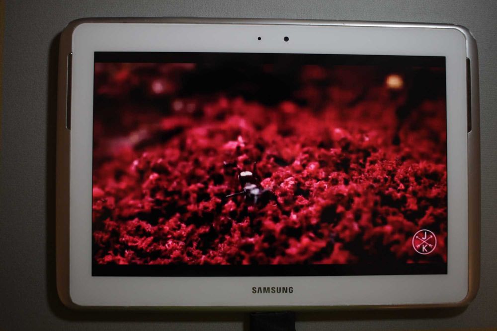 Планшет Samsung Galaxy Note 10.1 (GT-N8000ZWASEK) Pearl White