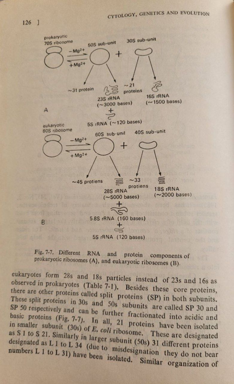 Cytology, Genetics and Evolution / Цитологія, Генетика та Еволюція.