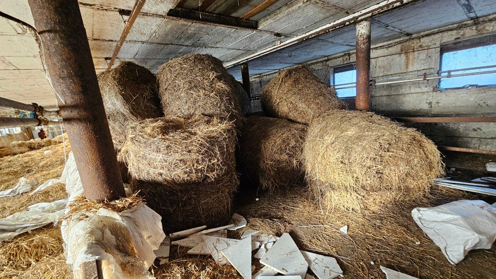 Oddam siano na Pellet