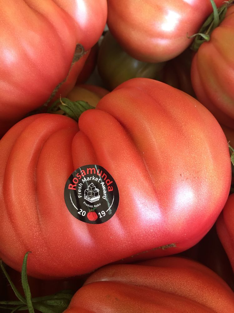 Sadzonka pomidora malinowego Rosamunda