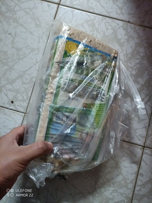 Caixa de ninho para caturras