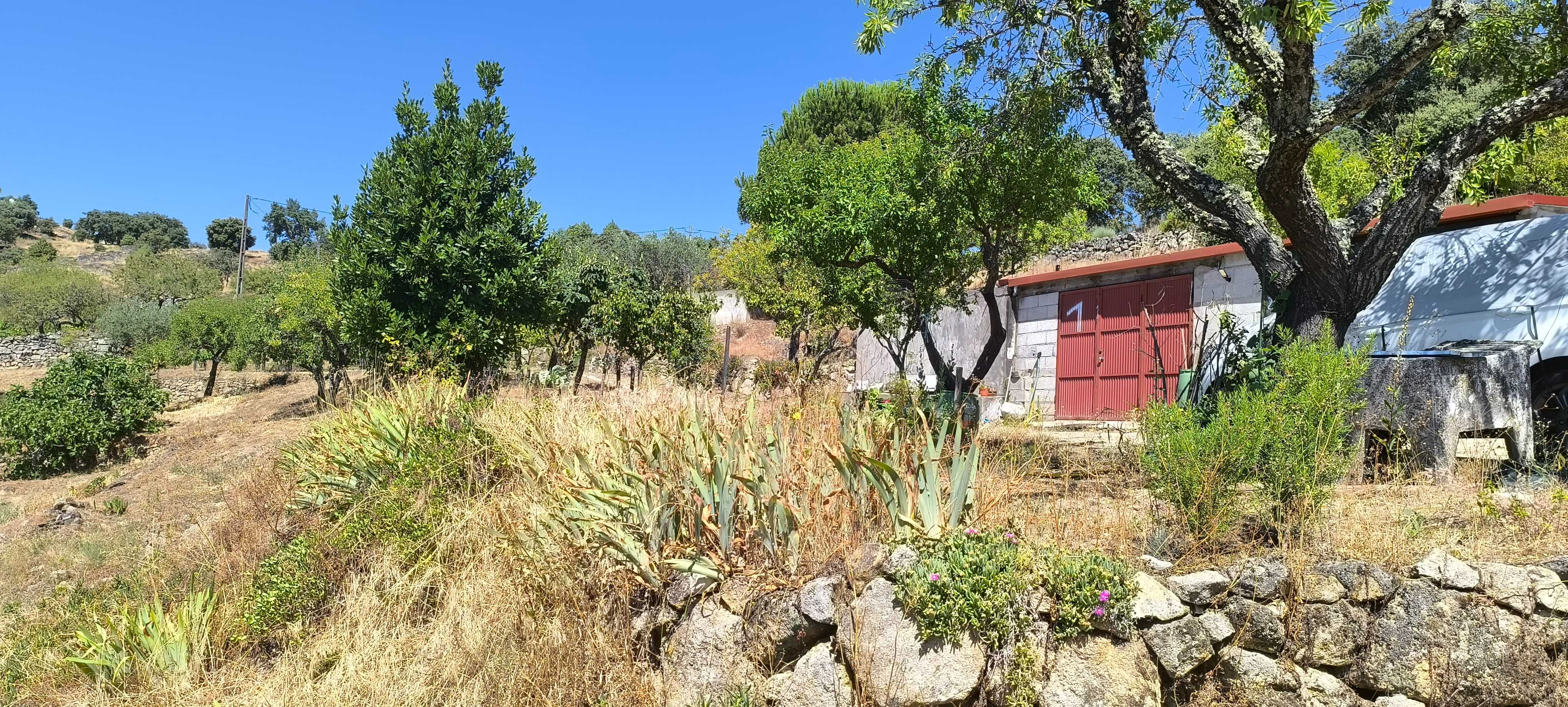 Quintinha no Douro
