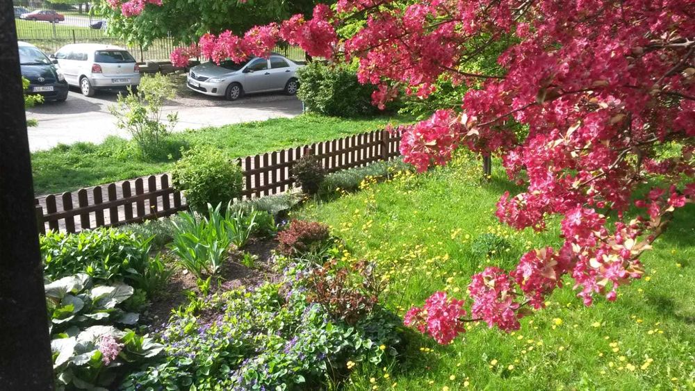 Dwupokojowe Mieszkanie do wynajęcia.Mokotów, Metro Wierzbno 47m2
