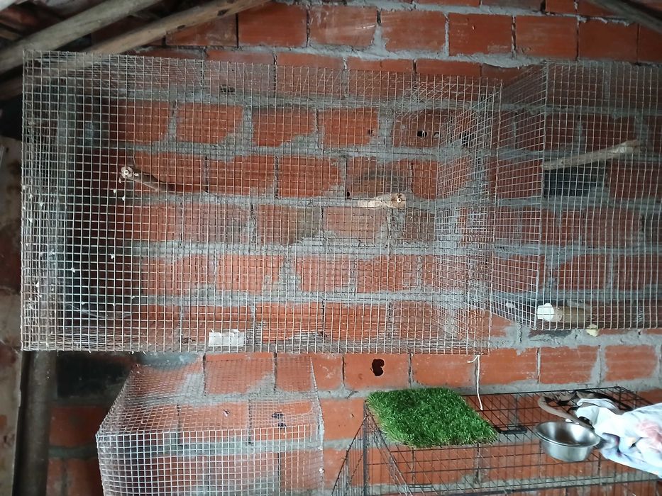 Gaiola grande ou viveiro