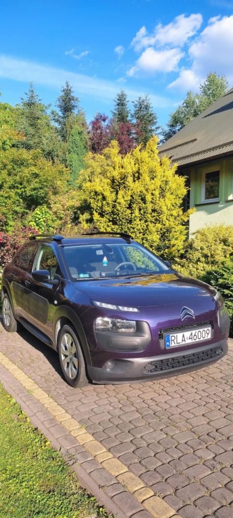 Citroen C4 cactus