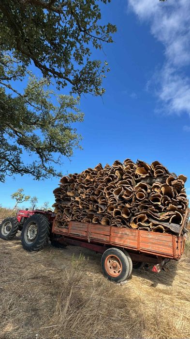 Reboque galucho 7500